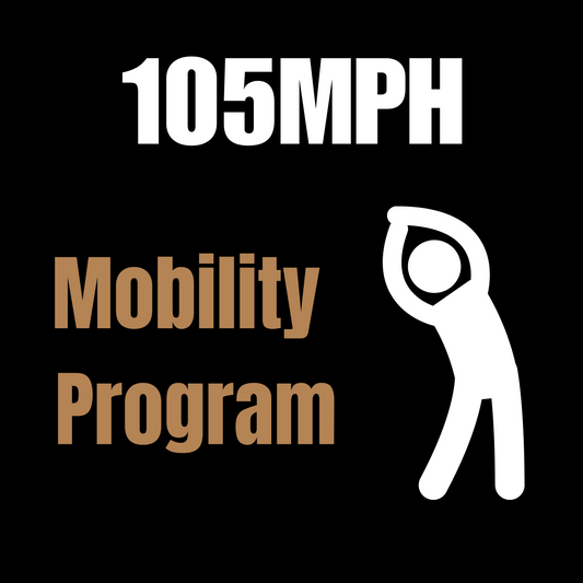 Mobility Program